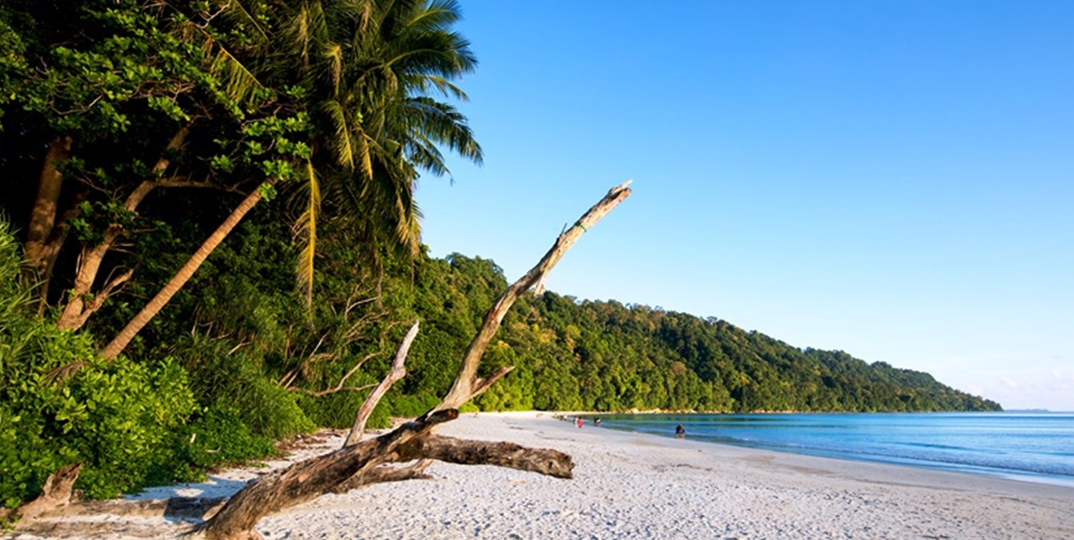 Incredible andaman island tour