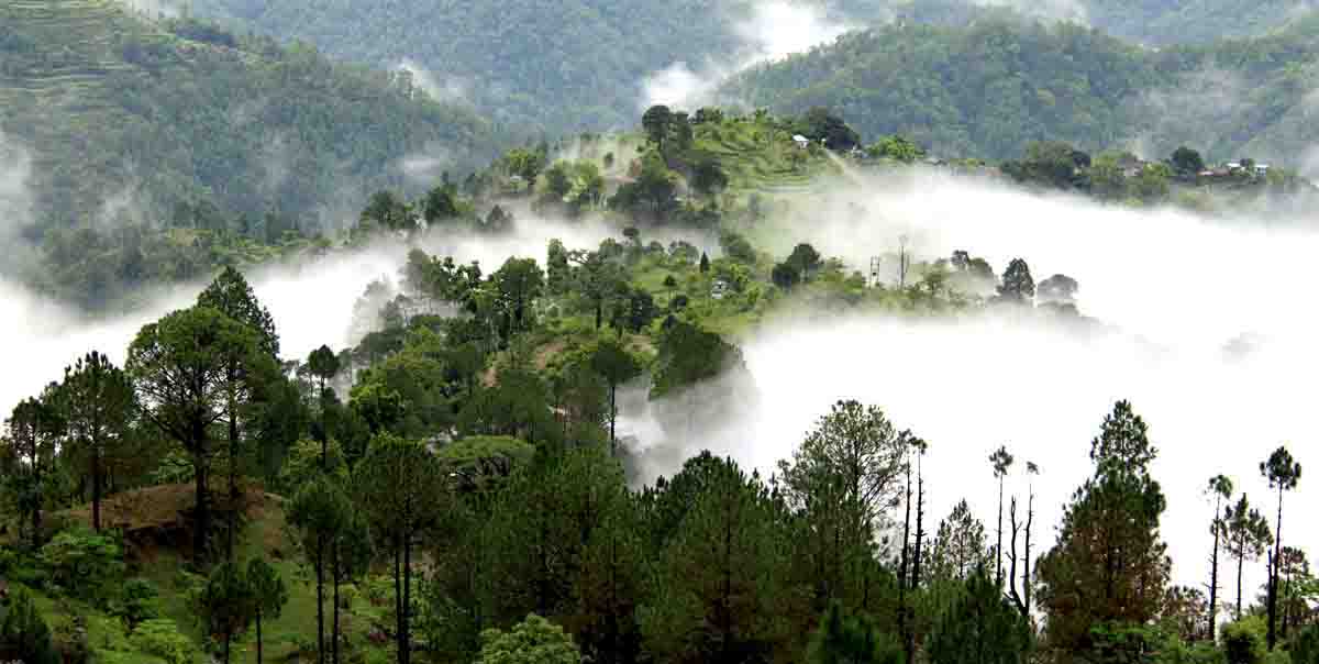 Beautiful House in Hill Station