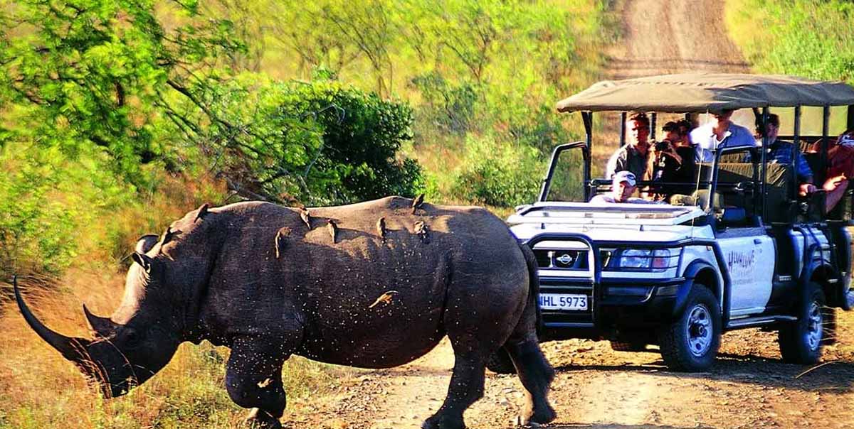 Kaziranga National Parks Tour