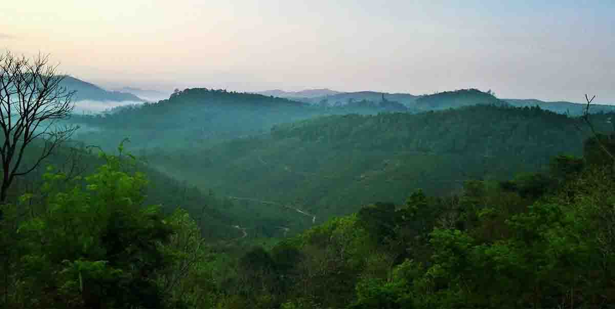 Ooty munnar kodaikanal tour