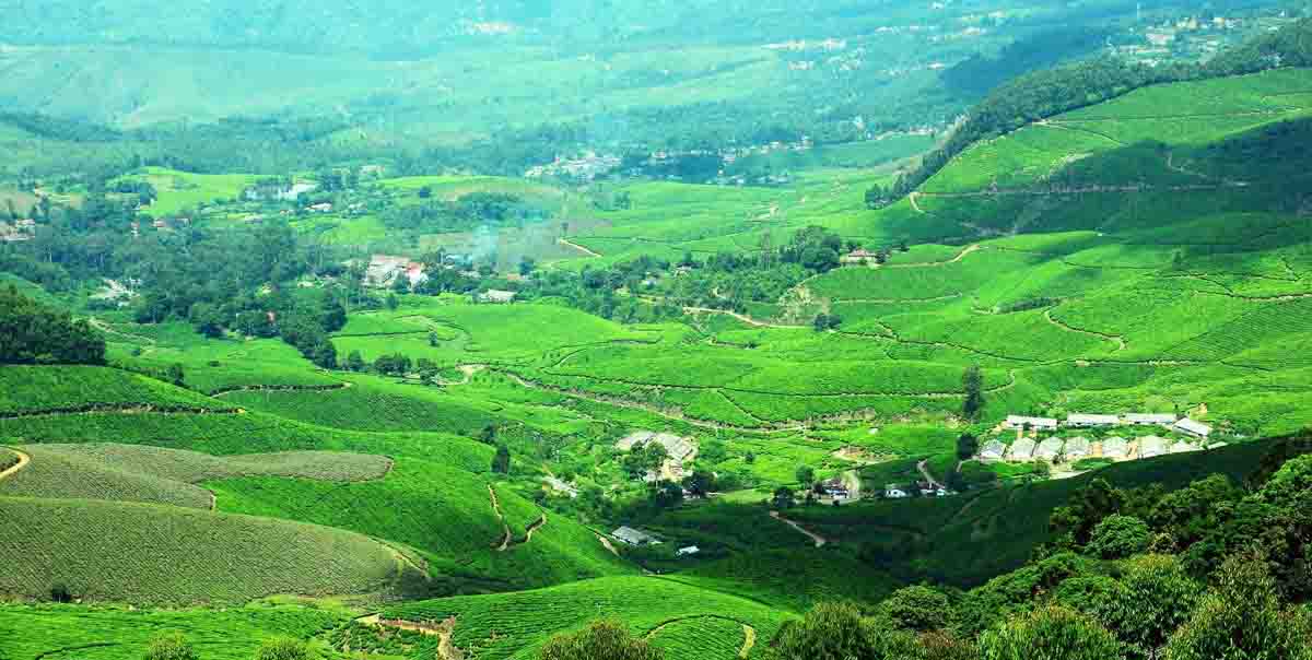 Munnar Honeymoon Tour Packages