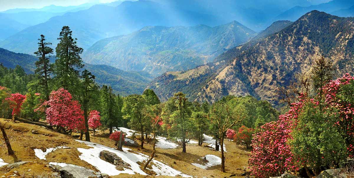 Nainital Almora Binsar Honeymoon Tour