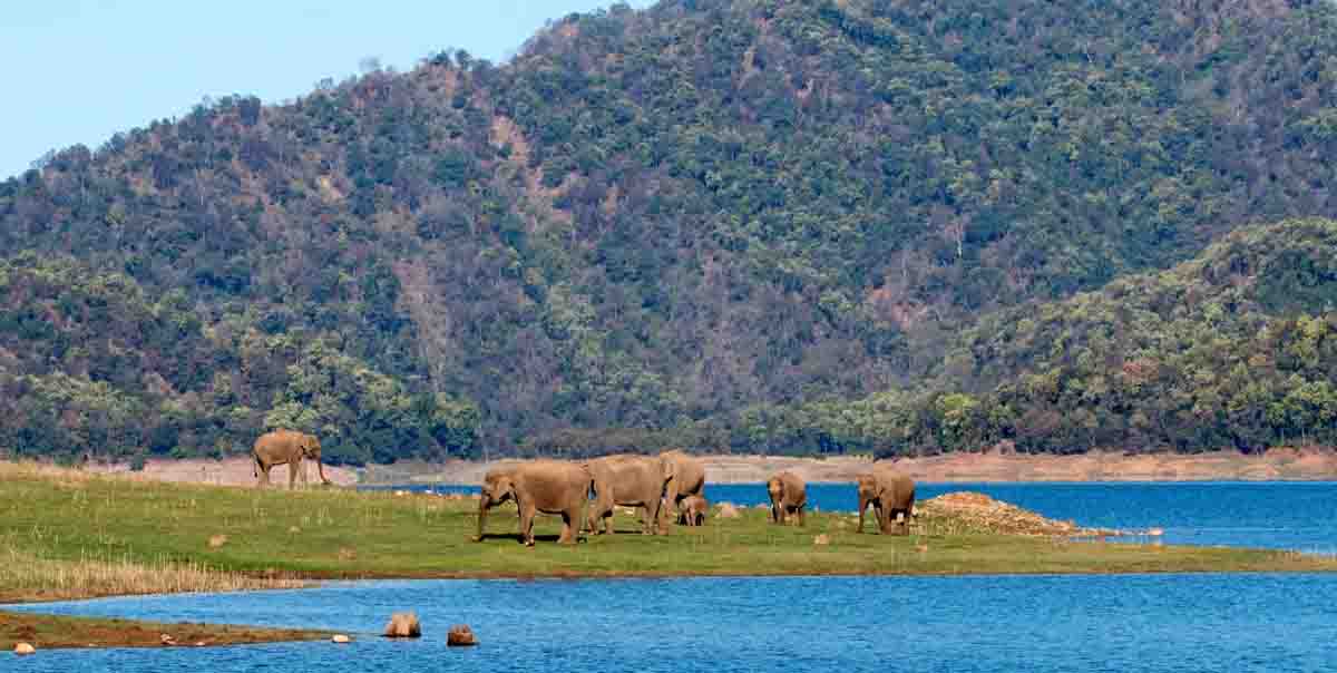 CHARM OF RANIKHET