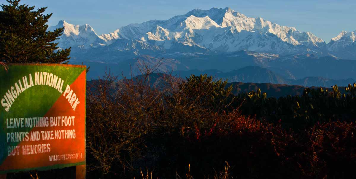 Singalila to Sandakphu Trek