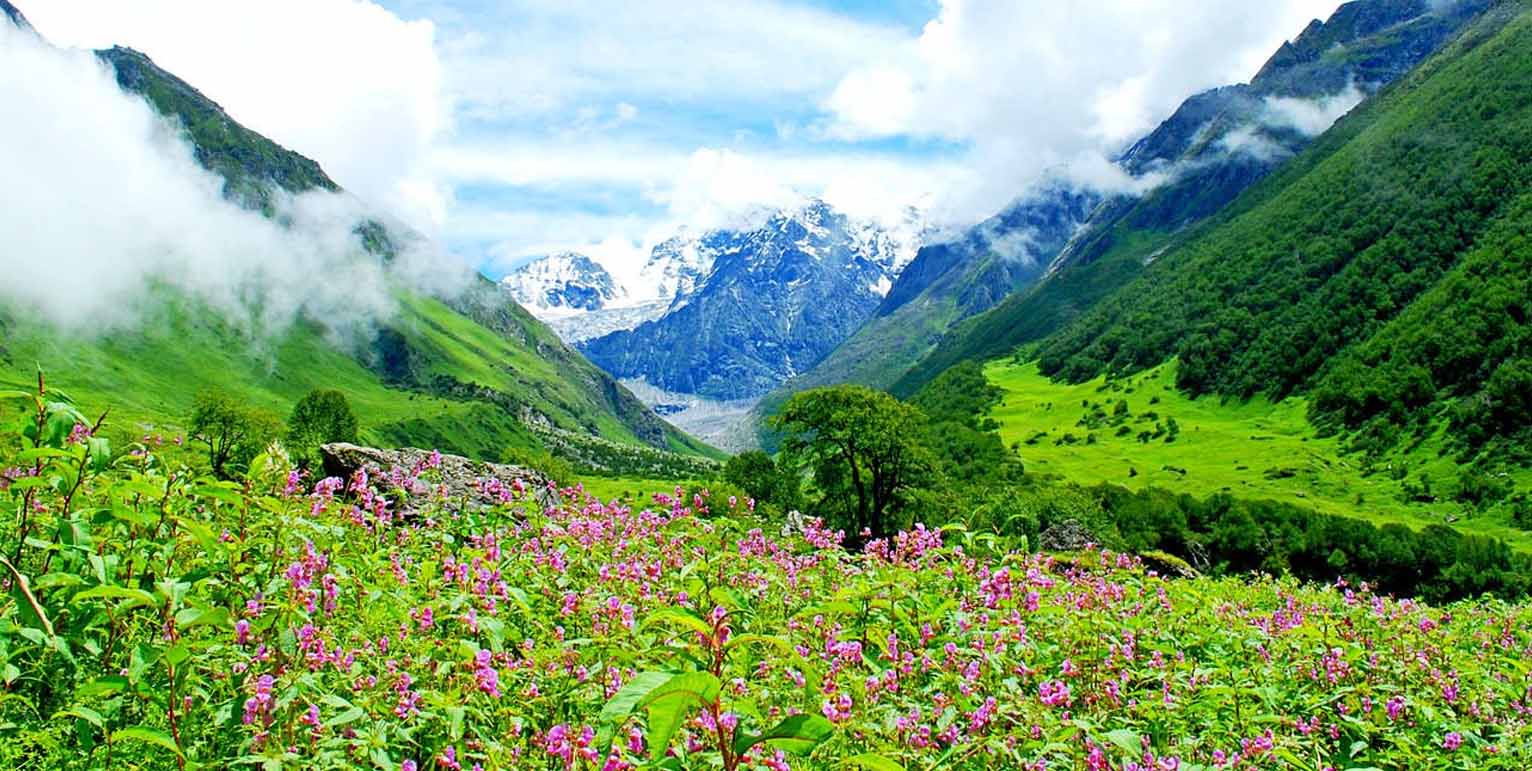 valley of flowers trek tour package